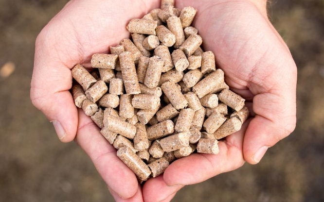 SABO & Sevecom siglano un accordo per crescere nel mercato internazionale della nutrizione animale